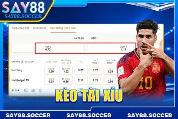 Kèo Tài Xỉu: Cá Cược Với Kèo Chơi “Xanh Chín” Số 1 SAY88